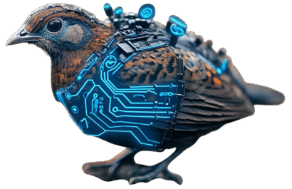 Cyber quail symbolizing precise cybersecurity guidance and smart technology decisions for small and medium-sized businesses